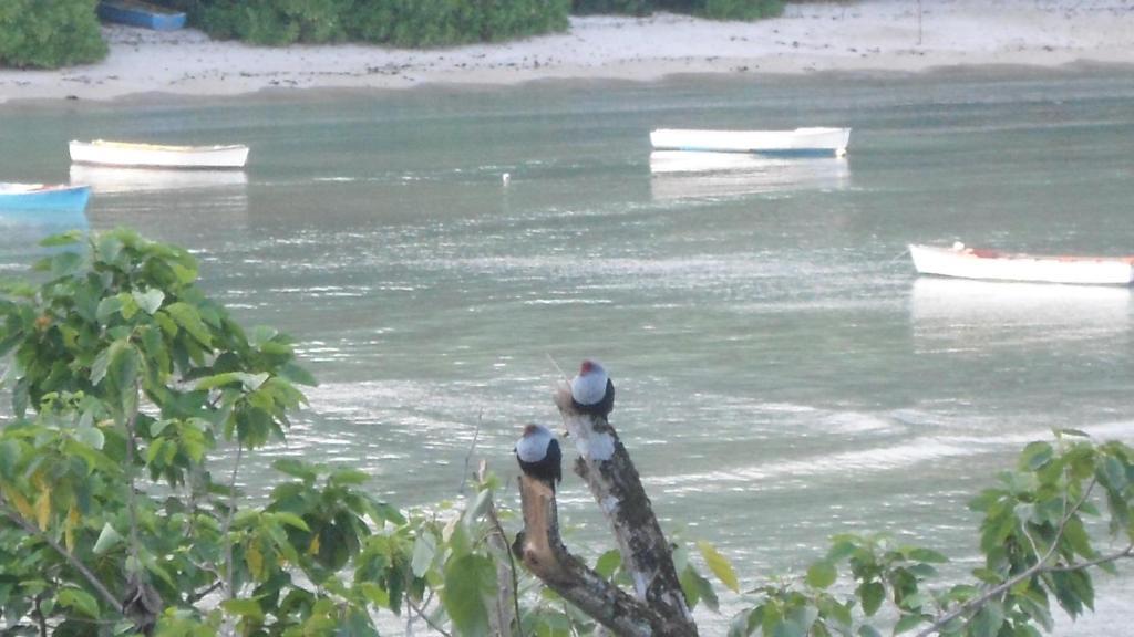 Seychelles Anse Boileau Екстериор снимка